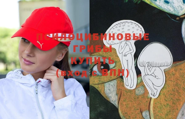 соль курить ск Алзамай